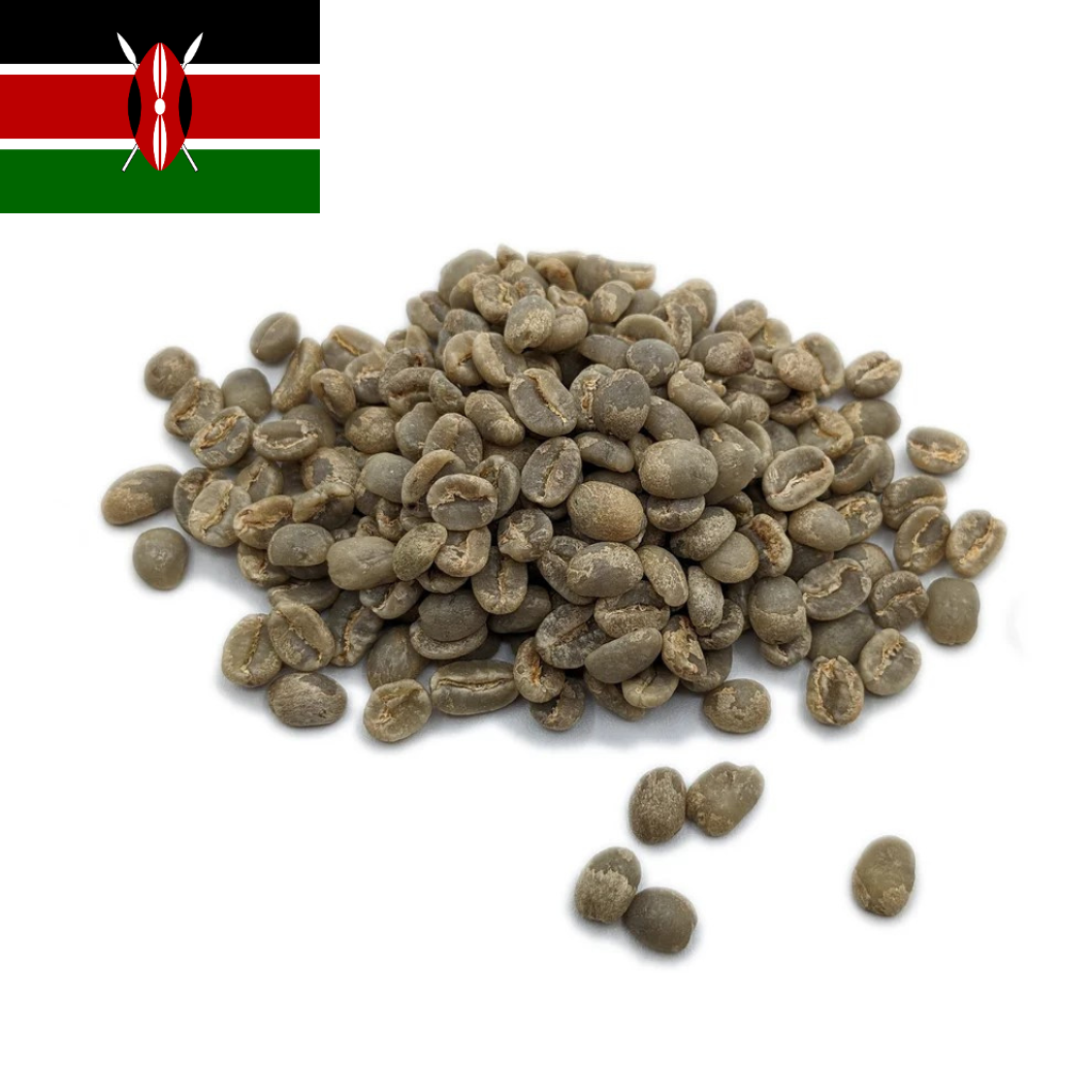 Kenya Nyeri - Washed - Citrusy