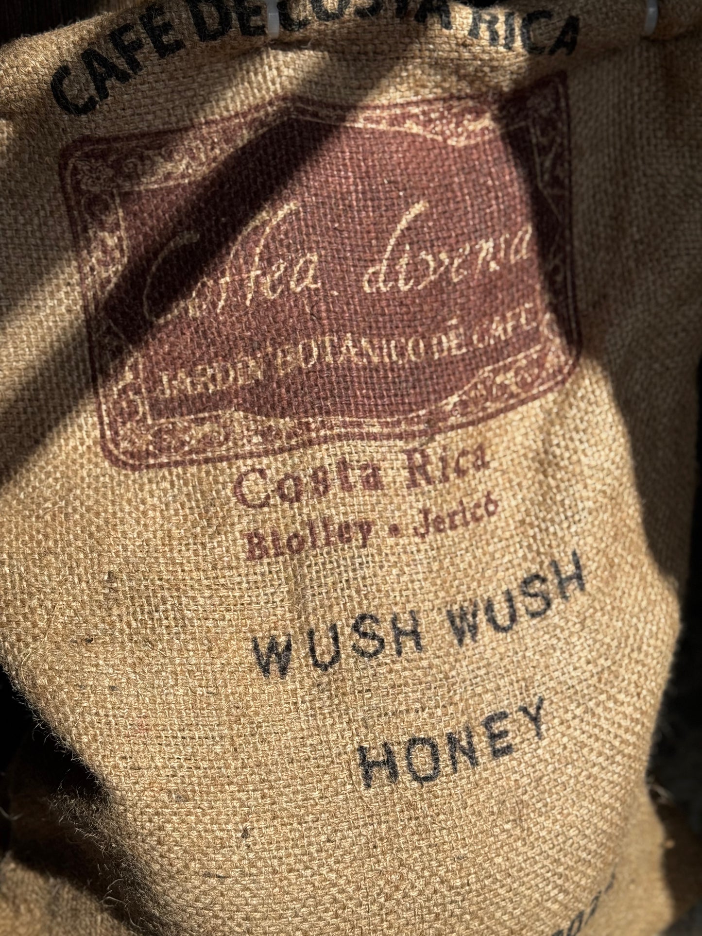 *RESERVE* Costa Rica Wush Wush - Honey - Fruity