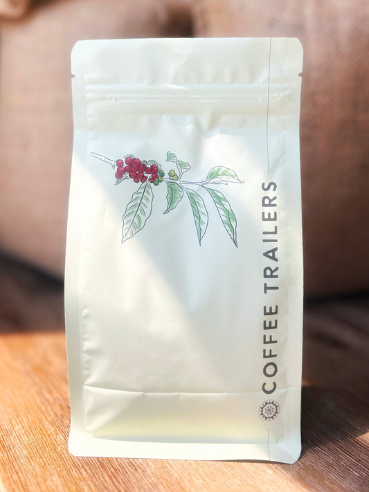 Brazil Serra Alta – Honey Process - Balanced